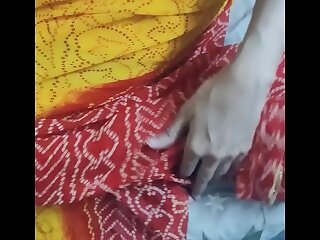 Indian Hot Sexy Sari Aunty fucked by a Young Impoverish